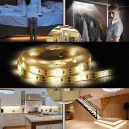 Strings dubbele modus flexibele nachtlichtstip bewegingssensorlamp voor slaapkamer kast kast reri89ed ledled led