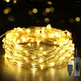 Strings Fairy Lights 12m 120 LED's String USB IP65 Waterdicht Warm Wit voor Kerstmis bruiloft binnen/buiten-zilverdraad