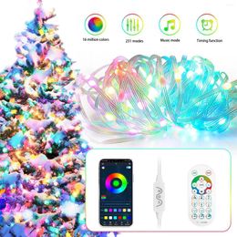 Strings Fairy String Light RGBIC Bluetooth App Control Control IP65 LED INDOOR OUTDOOR CHAMBRE PARTO