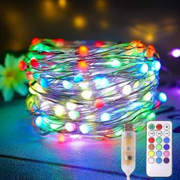 Strings Fairy String Light Twinkle USB 5V WS2812B Sk6812 IC Pixel adressable individuellement avec 12 couleurs chassant 12 modes 5M 10M 20MLED LEDLED