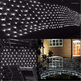 Guirlande à cordes rideau en maille, 1.5x1.5m, 96led, étanche, pour l'extérieur, fête, noël, mariage, décoration de jardin, maison