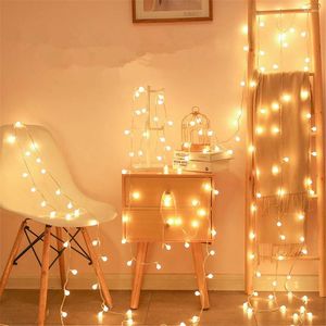 Strings Holiday Light Chain Ball LED String Lighting 300CM 6M USB Lamp Waterdicht Outdoor Bruiloft Kerstmis