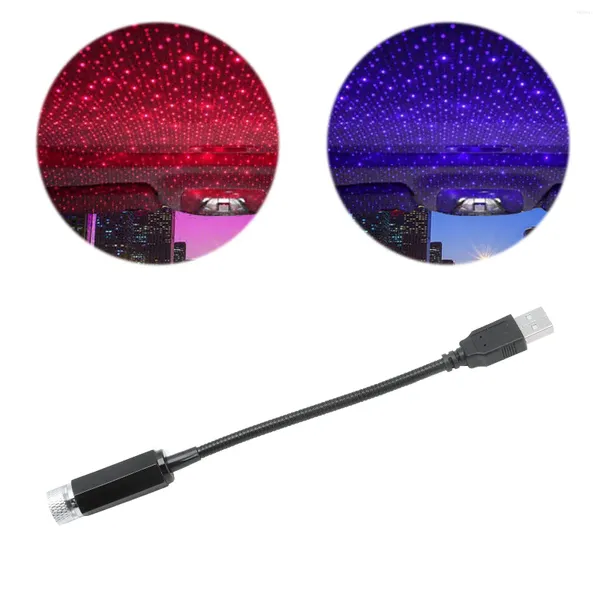 Cordes Maison Jardin LED Toit Étoile Lumière Portable Romantique Voiture Ciel USB Charge Pour Intérieur Extérieur Noël Guirlandes Lumineuse