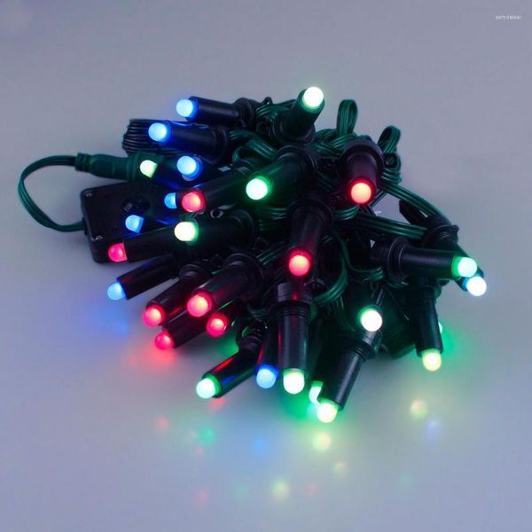 Cuerdas IP67 Colorido RGB LED Dream Light String Globe Fastoon Ball Luces de control remoto al aire libre para jardín césped Navidad