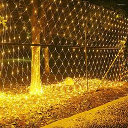 Strings groot 10x8m 2000 LED NET MESH STRING LICHT Licht Outdoor Christmas Garland voor huwelijksfeestje Holiday Commercial Mall Decor