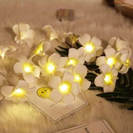 Strings LED 6m/3m Artificial Plumeria Flower String Lights Fairy Garland Battery Operated Lamp Christmas Decorations Home Outdoor DecorLED