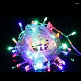 Strings LED Christmas Lights Garland 100 10m Outdoor Ornamenten AC 110V 220V Cat athing Ball Light Deco
