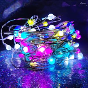 Strings LED Fairy Lights 10M USB String Remote Control WS2812B SK6812 Pixels RGB voor kerstversieringen Home