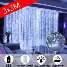 Cordes LED Garland Curtain Lights 8 Modes USB Remote Control 3M Fairy String for Christmas Decor Home Wedding Holiday Party Party