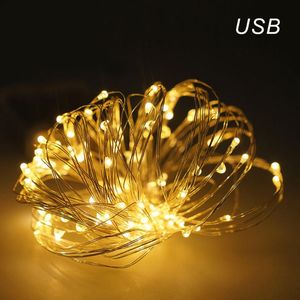 Strings LED LEDS Fairy Light USB -snaarverlichting Bulb 5m/10m/20m slingers transparante draaddecoraties voor feesthuwelijken