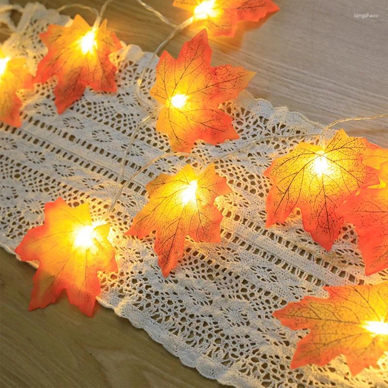 Strings LED Light String Indoor Outdoor Restaurant Slaapkamer Decoratie Bruiloft Kerst Thanksgiving Scène Layout Lamp