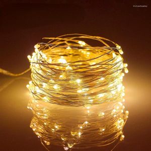 Cordes Led lumières fil de cuivre chaîne 1/2/5/10M vacances lampe extérieure guirlande Luces pour arbre de noël décoration de fête de mariage