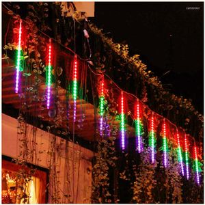 Strings LED Meteoor Douche String Lichten Outdoor Decor Garden Wedding Party Holiday Lighting Fairy voor kerstboom Navidad 2022