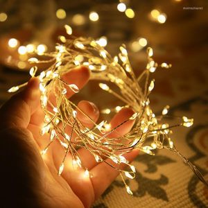 Cordes LED guirlande lumineuse 2M 5M fil de cuivre pétard Fariy guirlande mariage fête de noël décoration lumières