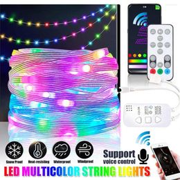 Cordes LED Guirlande Lumineuse USB Fairy Light Music Sync Bluetooth APP Pour Intérieur Extérieur 2-10m Changement de Couleur Lampe Étoilée RVB Décor de Vacances