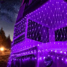 Strings Outdoor Pink Purple Net Mesh String Lights 1,5x1,5m 3x2m 6x4m Kerstboom Wrap Fairy Light Hanging