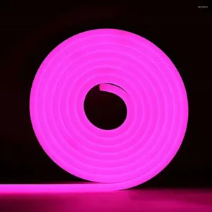 Snaren Regendicht Led Strip Ip65 Waterdicht 5m Neonlicht Voor Diy Decoratie Laagspanning Super Heldere Kant Flexibel Zacht