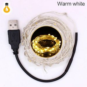 Strings RGB String 2m 5m 10m Copper Silver Wire USB/Batterij LED -Lichten Holiday Lighting voor Fairy Christmas Tree Wedding Party