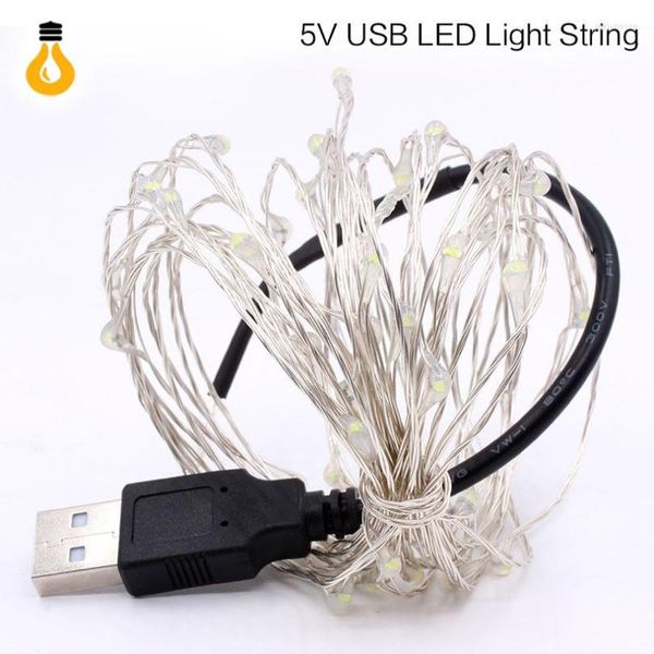 Strings RGB USB LED String Light 10M 5M Fil de cuivre étanche Éclairage extérieur Guirlandes lumineuses pour la décoration de mariage de Noël