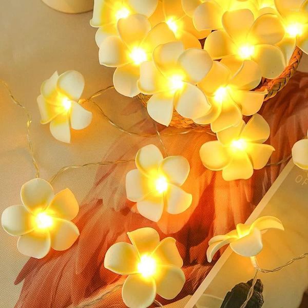 Cordes Chaîne Lumières De Noël En Plein Air 10ft 20 LED Alimenté Par Batterie Étanche Fleur Jardin Fleur Éclairage Fête Décoration De La Maison