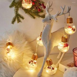 Cordes Transparent LED Ampoule Style Guirlande Lumineuse À Piles PVC Intérieur Fée Lampes Arbre De Noël Décoratif Pour La Maison