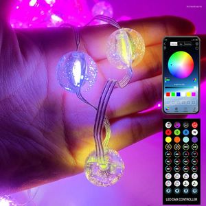 Strings USB Bluetooth Smart Led Light String WS2812B Koperdraad Fairy Garland Lamp -app Remote Control 5m/10m/20m Kerstboomdecor