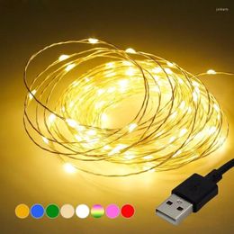 Cordes USB LED guirlandes lumineuses 3/5/10M fil de cuivre guirlande fée extérieur étanche jardin feston noël mariage décor