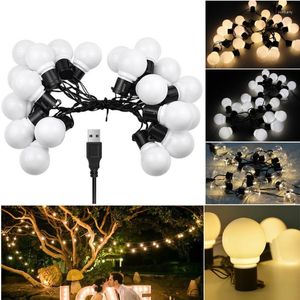 Cordes USB alimenté LED ampoule guirlande lumineuse transparente G50 étanche extérieur guirlande fête de noël jardin mariage décor 5m 20LEDs