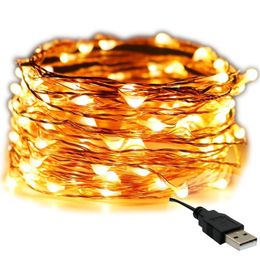 Strings USB Powered LED Kerst String Light Bruiloft Decoratie Party Lights Copper Wire Fairy