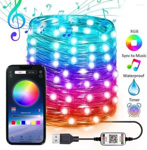 Cordes USB Smart Bluetooth LED Fil de cuivre Guirlande lumineuse 5M / 10M / 20M / 30M App Contrôle Arbre de Noël Décor Année Guirlande Fée