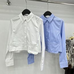 Chemises de femmes à rayures Tops Blue blanc brodé de luxe à manches longues Casaul Tops Daily Designer Lapel Neck Blouse