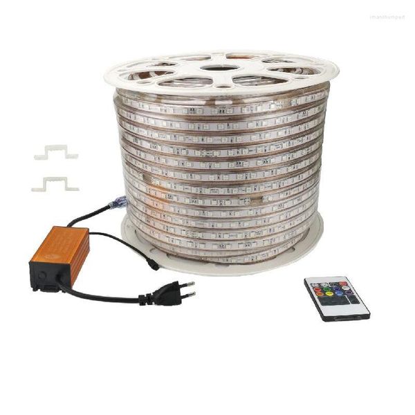 Tiras de 100 metros LED RGB Tira de luz CA 220 V Cinta impermeable IP67 con control remoto IR de 20 teclas Cambio de color