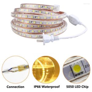 Strips 100m LED-lichtstrip AC SMD Type IP67 Waterdichte buiten- en binnenwoonkamerdecoratie