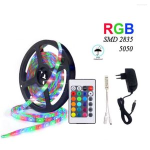 Strips 12V 2835 DC LED Strip RGB Licht voor kamer 5m 10m 60led/Mneon Remote Controller 24 Key Mini Power Adapter 12 V Waterdicht