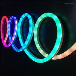 Strips 20m LED Neon Pixel Strip Droomkleur WS2811 60LEDS/M DC12V DC24V Lopende RGB -touw Licht Waterdichte PVC -tape