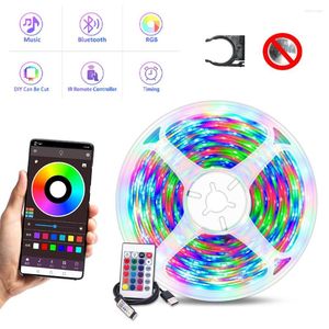 Strips 5m 2835 LED 5V RGB 24 Key IR Bluetooth App Music Control Christmas Lamp Lights for Room TV Decor Tape Strip