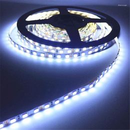 Strips 5m 300 LED -strip Licht Waterdichte IP65 DC12V Ribbon -tape SMD2835 Koud wit/warm wit/rood/groen/blauw/geel flexibel