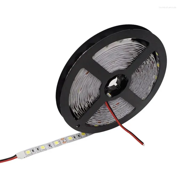 Bandes 5M LED Strip SMD Chip Light DC 12V Blanc Chaud Froid RVB 60LEDS/M IP65 Étanche IP20 Pas Lampe