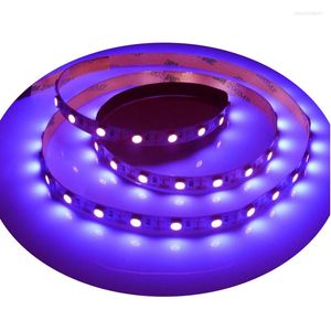 Strips 5m SMD 2835 UV Purple LED Strip DC 12V 60leds/M 120leds/M Fluorescent Party Waterdicht