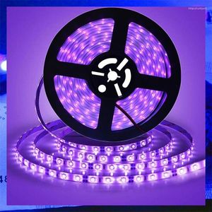 Bandes 5M SMD UV Violet LED Strip DC 12V 60Leds/m 120Leds/m Fluorescent Party Étanche