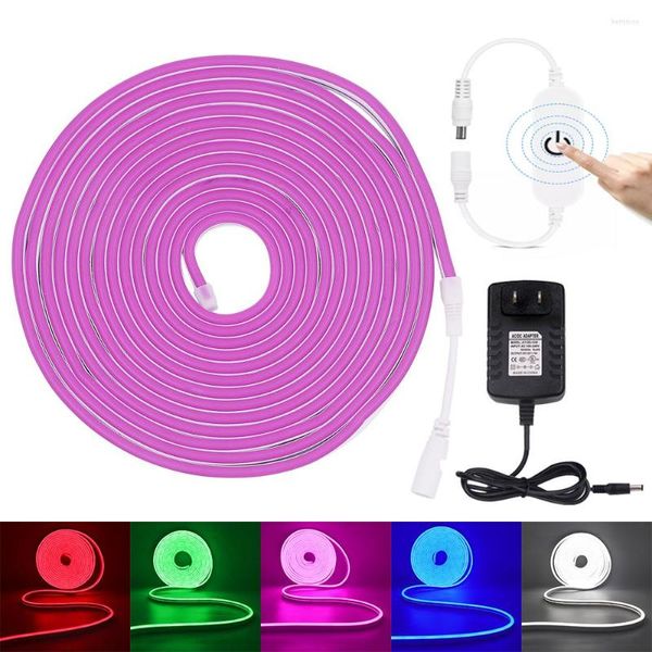 Bandes DC 12V Dimmable Neon Light Strip 2835SMD 120LEDs / m Flexible Corde Étanche Bleu Rouge Vert Rose Violet LED Ruban