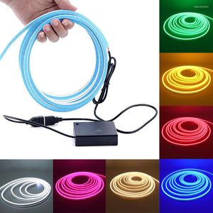 Bandes DC 5V LED bande lumineuse USB alimenté flexible néon bande Dimmable signe étanche batterie puissance ruban décoration