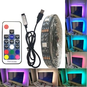 STRIPS DC 5V USB LED Strip Waterdicht RGB -licht Flexibel 50 cm 1m 2m Toevoegen 3 17Kees afstandsbediening voor tv -achtergrondverlichting