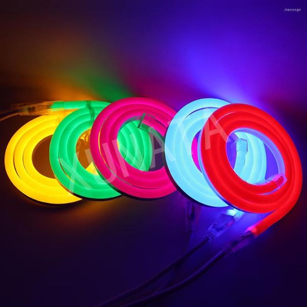 Bandes DC12V 120led / m Neon Light LED Strip 2835 Flex Étanche IP68 Éclairage de décoration intérieure extérieure