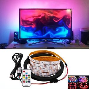 Bandes DC5v USB LED Strip WS2812B RABLE RVB FLEXIBLE ÉTAPHER DREAM COULEUR COULEUR POUR TV ORDINE