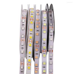 Strips Dimable Led Strip Flexibel Lichte tape 12V 5m 300 Pixel SMD 5054 Waterdichte woning Decoratie Blauw/Wit/Warm wit/roze 8colors