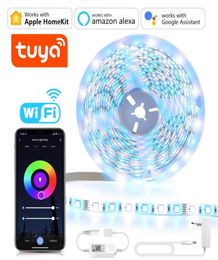 Strips HomeKit Wifi Led Strip Light RGBWRGBWW TUYA SMART LIFE App Control Lights werken met Apple Home Siri Alexa Google Assistant6442866