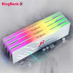 Strions Kingbank DDR5 Module de mémoire RVB 6000 6400MHz 16 Go 32/64 Go Computer Memoria Memoria Memoria RVB Light Strip CJR GRANULES HYNIX