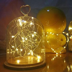 Strips LED Fairy Lights Copper Wire String 20 2M Vakantie Outdoor Lamp Garland Luces voor Kerstboom Bruiloft Decoratie