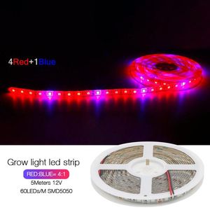 Tiras Led Grow Light Strip 5M 300led SMD Full Spectrum Phyto Lamp Rojo Azul para plantas Flores Invernaderos Planta hidropónica GrowingLED Strip